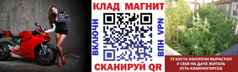 Сколько стоит Новозыбков Бошки Шишки Мефедрон Alpha-PVP ГАШИШ