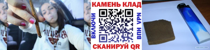 маркетплейс как зайти  купить наркотик  Новозыбков  Гашиш индика сатива 