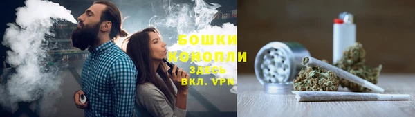 ГАЛЛЮЦИНОГЕННЫЕ ГРИБЫ Арсеньев