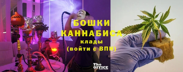 ГАЛЛЮЦИНОГЕННЫЕ ГРИБЫ Арсеньев