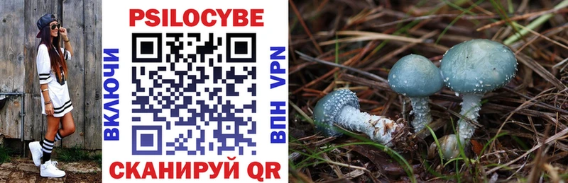 маркетплейс как зайти Новозыбков Галлюциногенные грибы Magic Shrooms закладки